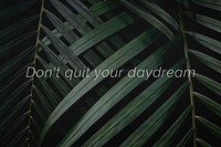 Don't quit your daydream quote on a palm leaves background