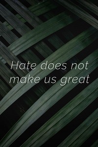 Hate does not make us great quote on a palm leaves background