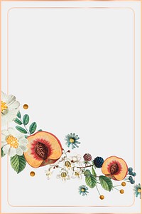 Floral summer frame vector vintage drawing