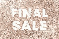 Final sale glittery shopping typography