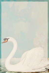 Swan frame psd vintage detailed drawing