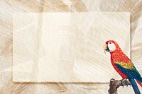 Scarlet macaw bird psd brown frame