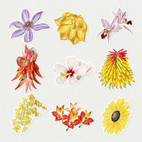 Blooming flowers illustrated psd stickers set
