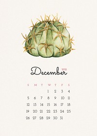 Calendar 2021 December printable with cute hand drawn cactus