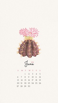 Calendar 2021 June printable with cute hand drawn cactus background