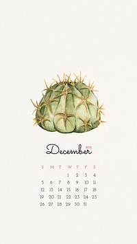 Calendar 2021 December printable with cute hand drawn cactus background