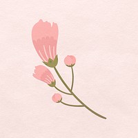 Pink cherry blossom flower blooming illustration