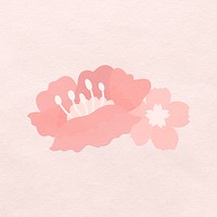 Pink cherry blossom flower illustration