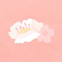 White cherry blossom psd design element