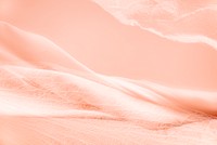 Petal texture background in peach for blog banner