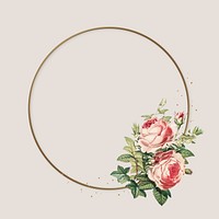 Flower rose circle frame vector pink vintage illustration