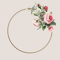 Flower roses circle frame vector pink vintage illustration