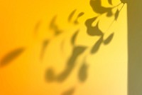 Abstract yellow gradient background psd with leaf shadow