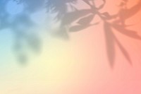 Peach shadow aesthetic background vector with blank space