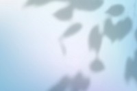 Abstract blue gradient background psd with leaf shadow