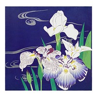 Iris flowers, vintage wall art print and poster illustration, remixed from the artwork of Kogyo Tsukioka