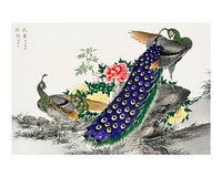 Numata Kashu Peacock and Peony woodblock print, printable vintage Japanese wall art decor and painting