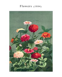 Red flowers wall art, vintage wall decor, painting illustration, enhanced from the artwork of L. Prang & Co