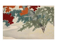 Kamisaka Sekka botanical woodblock print, print printable Maple from Momoyogusa–Flowers of a Hundred Generations, Japanese wall art decor