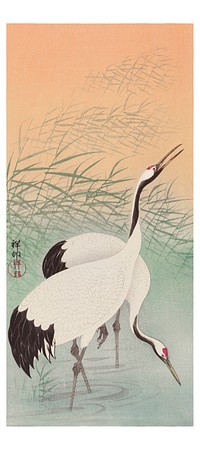 Ohara Koson art print, vintage cranes Japanese artwork (1877-1945). Original from The Rijksmuseum. Digitally enhanced by rawpixel.