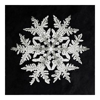 Snowflake poster, vintage photograph of snowflakes (1890) in high resolution by Wilson Alwyn Bentley. Original from The Smithsonian. Digitally enhanced by rawpixel.