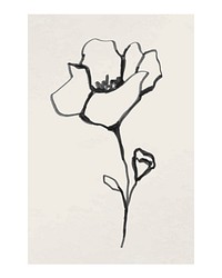 Flower minimal poster, ink line art design