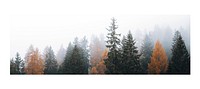 Moody aesthetic forest art print poster, misty autumn wall decor