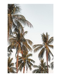 Palm tree art print poster, summer coast wall decor