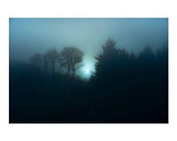 Moody aesthetic forest art print poster, misty full moon night wall decor