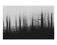 Moody aesthetic misty woods art print poster, nature wall decor