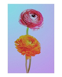 Aesthetic flower art print, pink and orange wall decor