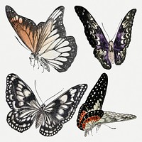 Vintage butterfly sticker, colorful animal illustration psd, remix from the artwork of Louis Renard set