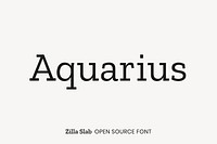 Zilla Slab Open Source Font by Typotheque