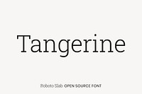 Roboto Slab Open Source Font by Christian Robertson