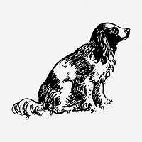 Dog drawing, vintage pet animal illustration. Free public domain CC0 image.