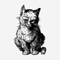 Sitting kitten drawing, vintage pet animal illustration. Free public domain CC0 image.