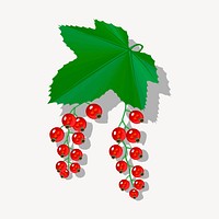 Red currants clipart, botanical illustration. Free public domain CC0 image.