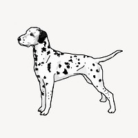 Dalmatian dog clipart, animal illustration vector. Free public domain CC0 image.