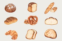 Fresh bread vector hand-drawn set 