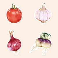 Organic vegetables illustration psd raw food sticker set