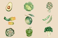 Organic vegetables vintage psd hand-drawn collection