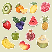 Fruits illustration psd organic food hand drawn set