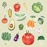 Organic food psd vegetables drawing illustration collection