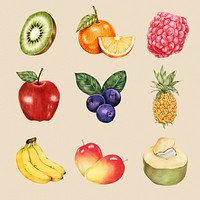 Vintage summer fruits illustration psd hand drawn set