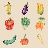 Fresh vegetables illustration psd botanical drawing set