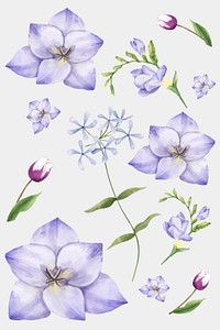 Colorful blooming flowers watercolor illustration set