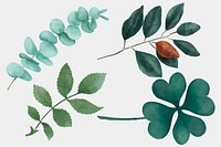 Green sprigs watercolor drawing clipart collection