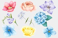 Watercolor flowers psd drawing clipart set