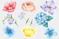 Blooming pink flowers vector watercolor set