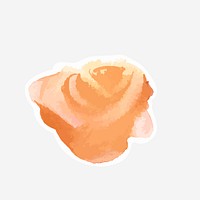 Classic orange rose hand drawn watercolor flower